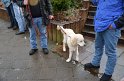 Wandertag 2012 - 017